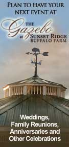 Gazebo weddings, family reunions, anniversaries, othter celebrations