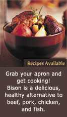 Bison is a delicious, healthy alternative to beef, pork, chicken, and fish.