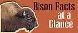 Bison Facts